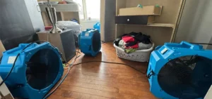 effective preparation before bed bug treatment